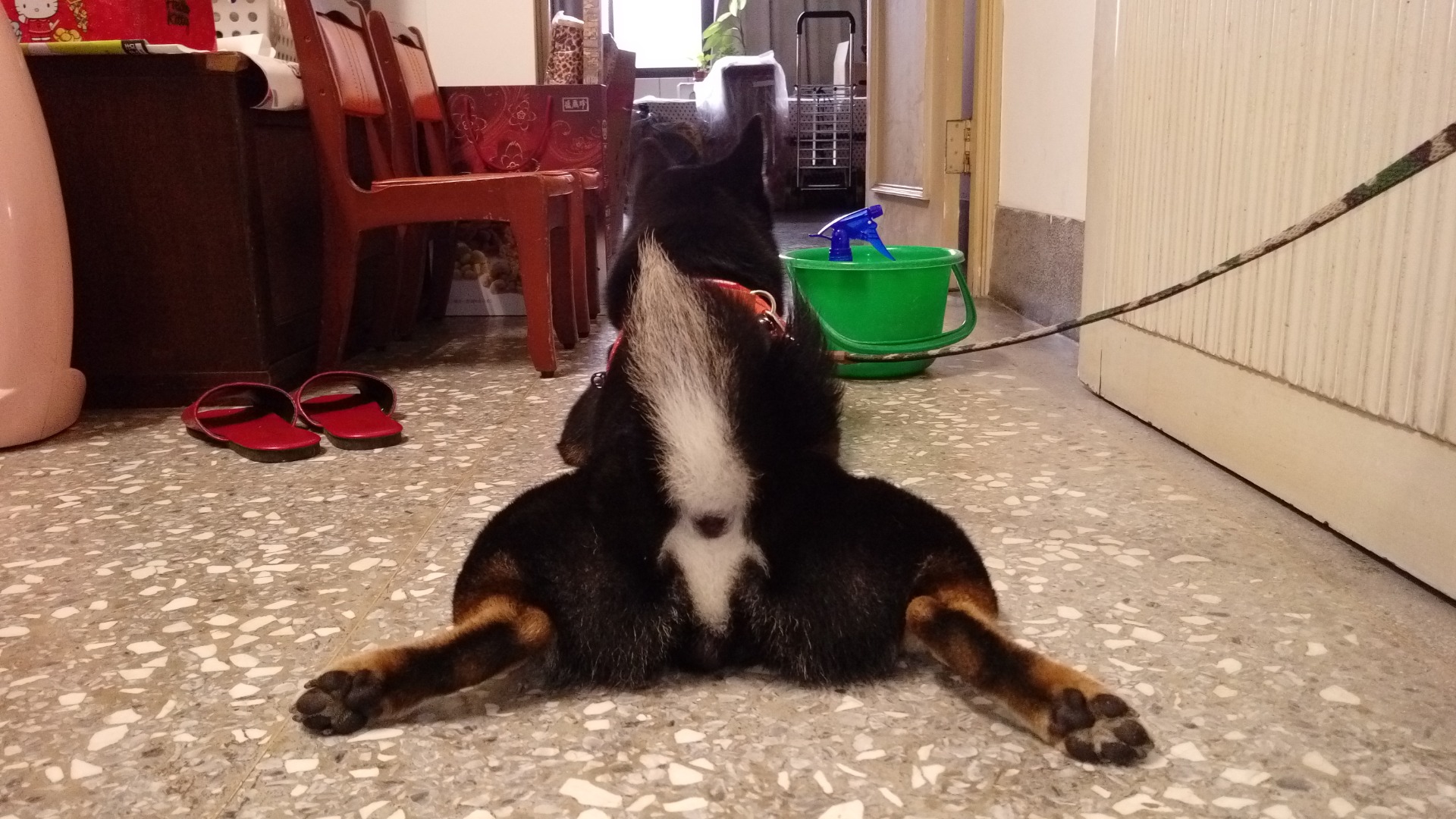 我劈腿給你看